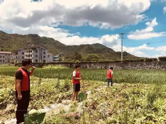 微信图片_20180711095828.jpg
