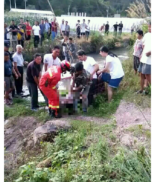 微信图片_20180718180047_副本.png