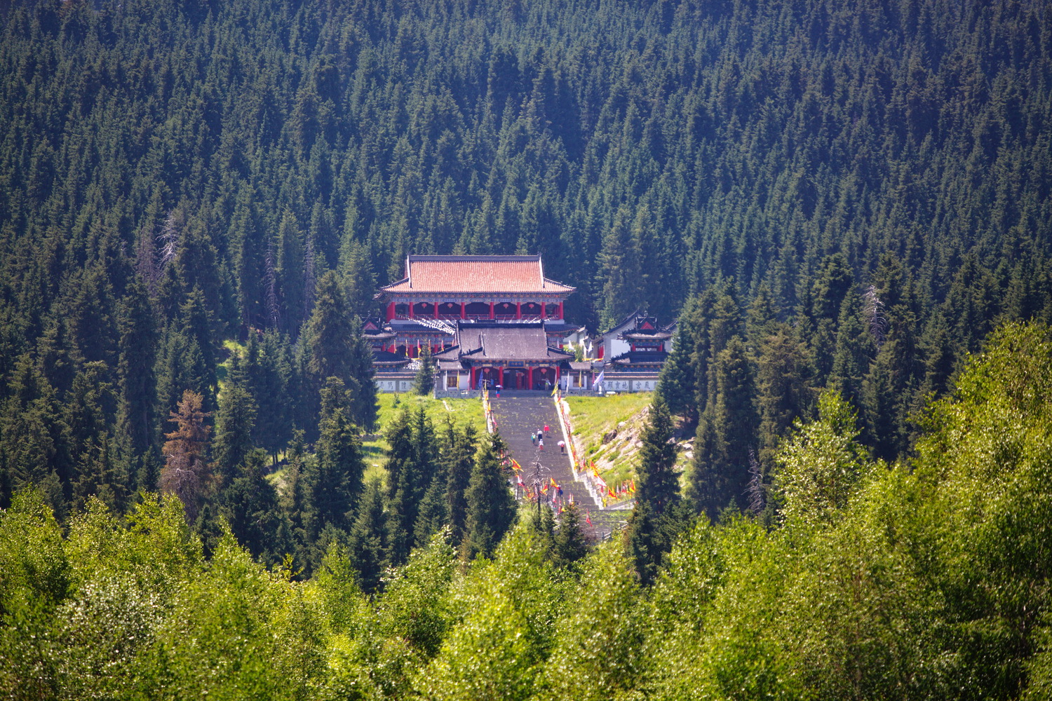 125A2077_调整大小.jpg