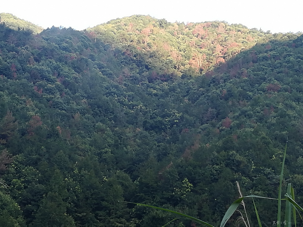 IMG_20180910_063754.jpg