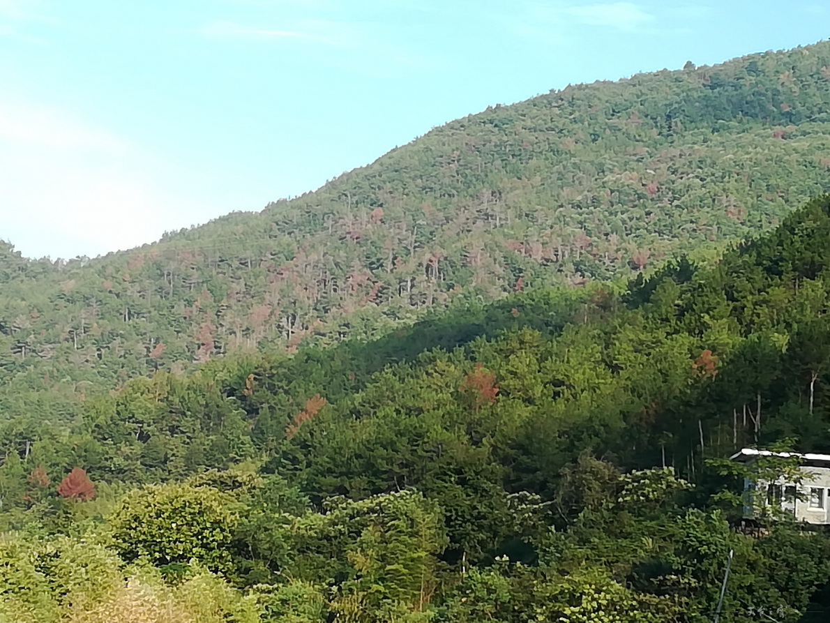 IMG_20180910_070012.jpg