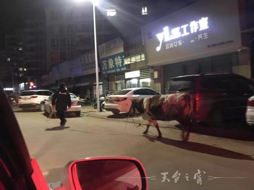 微信图片_20190108091316.jpg