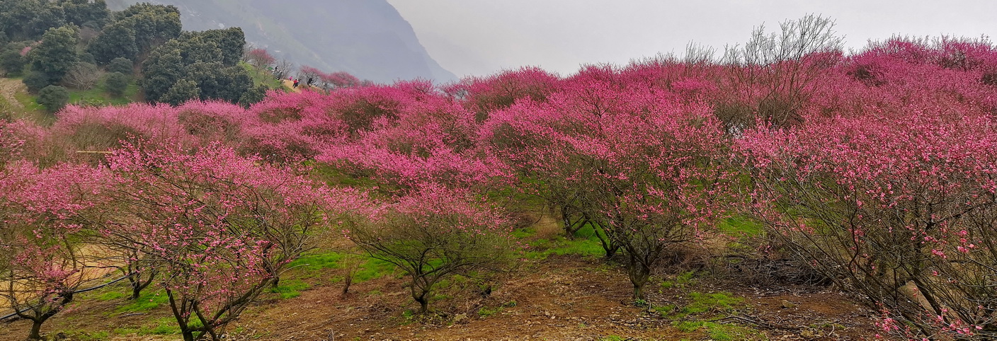 IMG_20190225_112213-1_调整大小.jpg