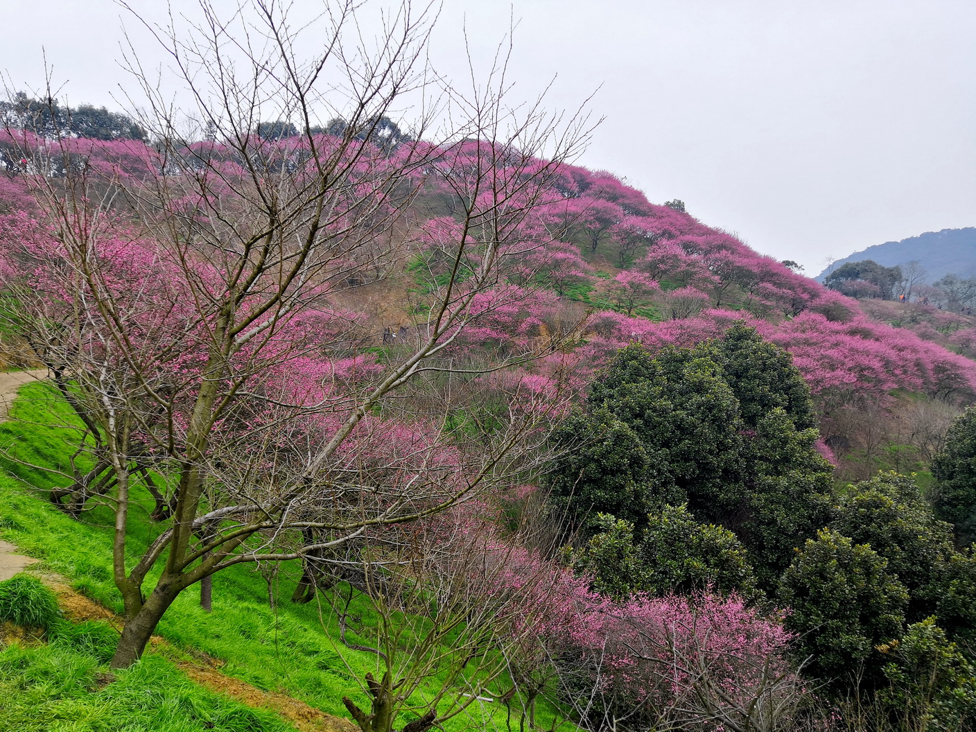 IMG_20190225_120320-1_调整大小.jpg