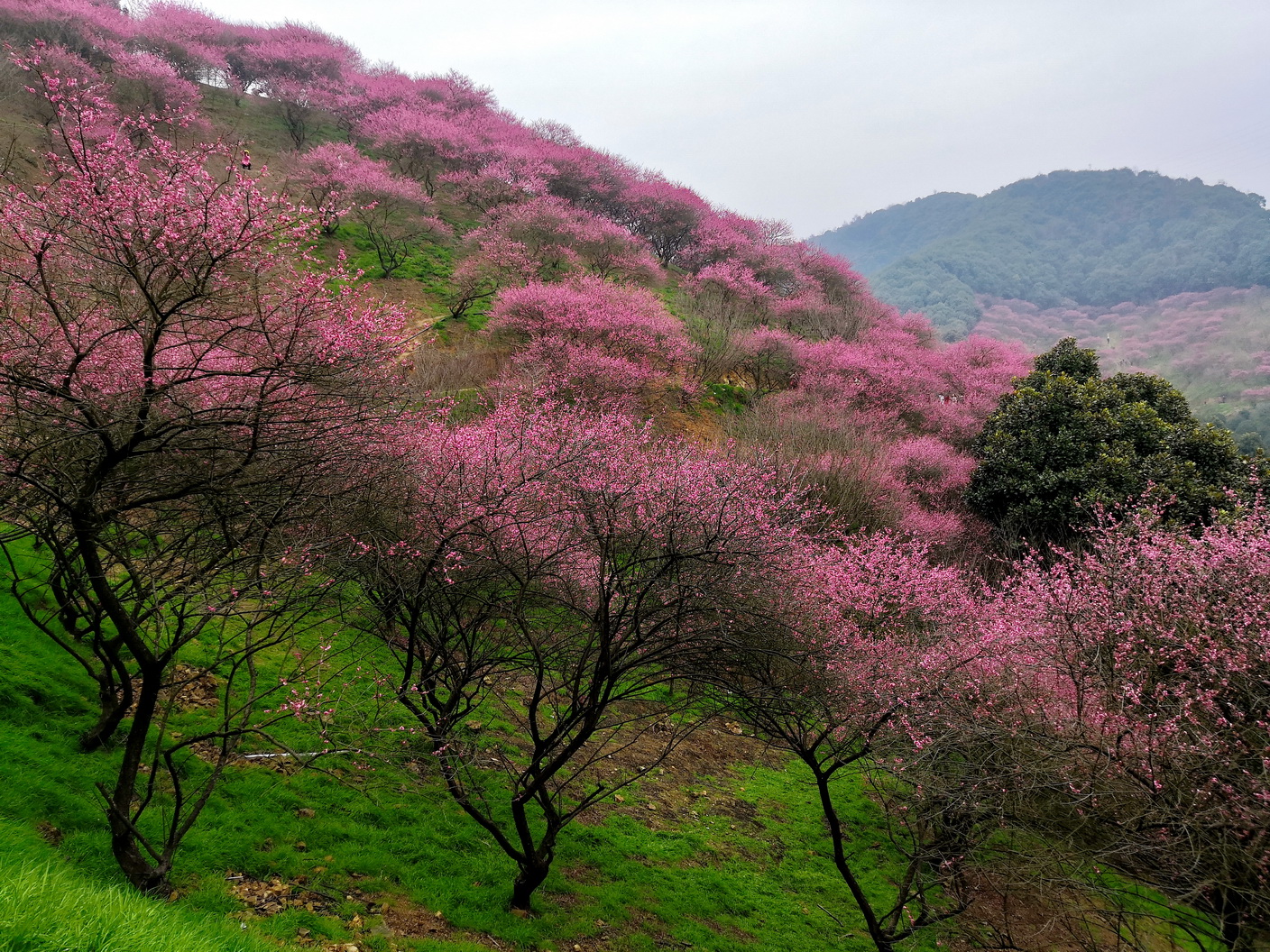 IMG_20190225_113112-1_调整大小.jpg