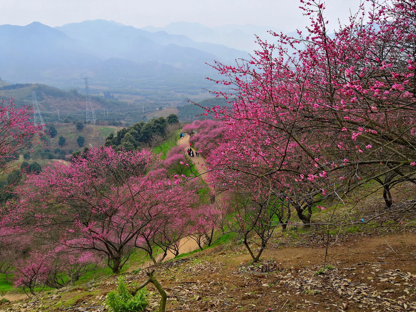 IMG_20190225_112550-1_调整大小.jpg