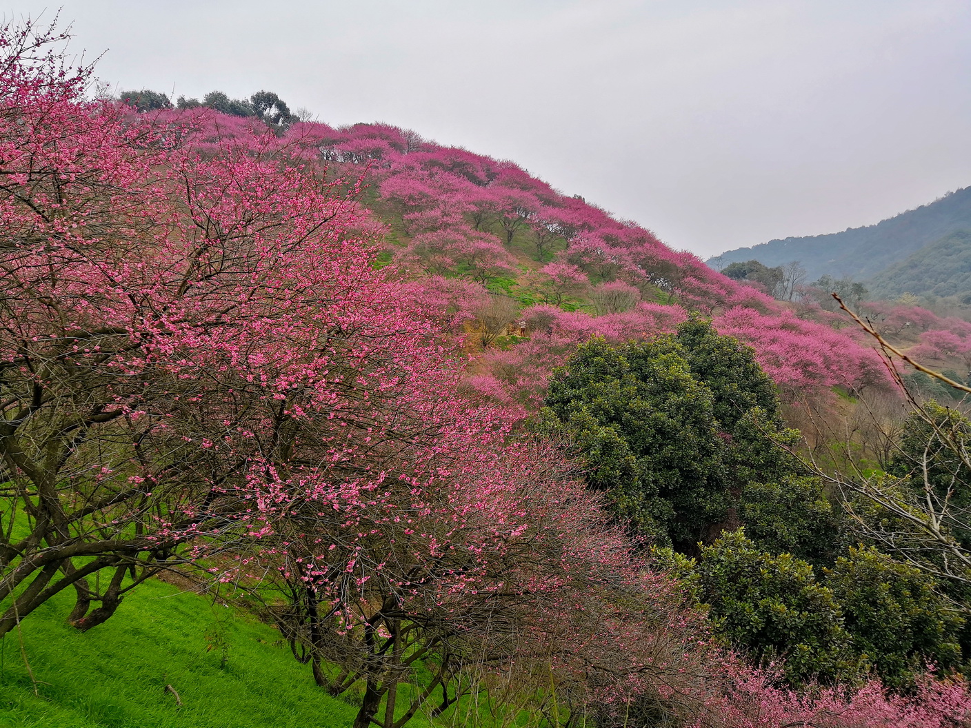 IMG_20190225_113037-1_调整大小.jpg