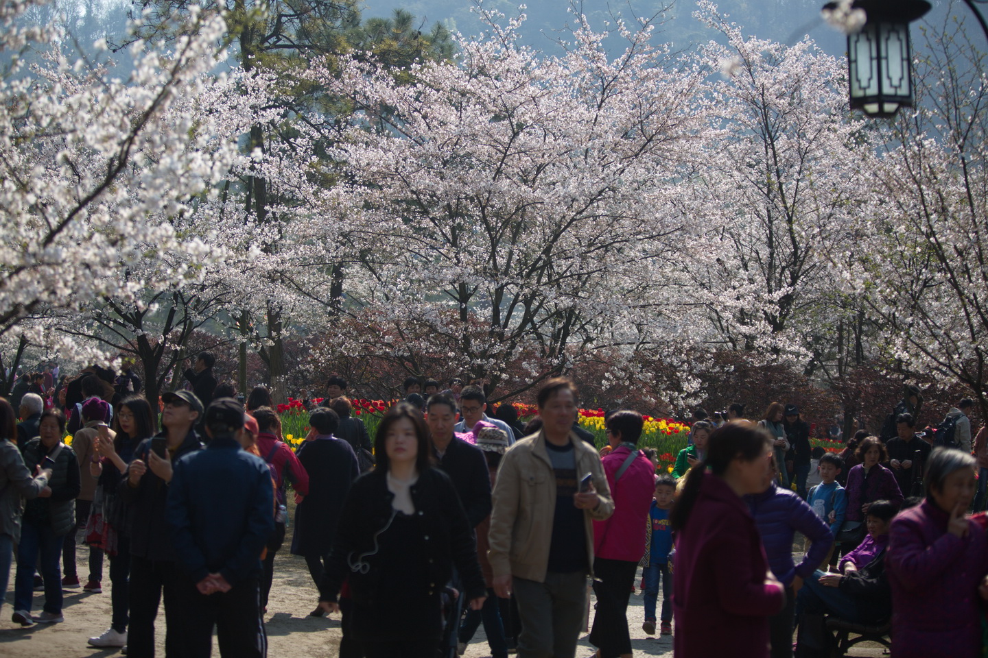 125A7124_调整大小.jpg