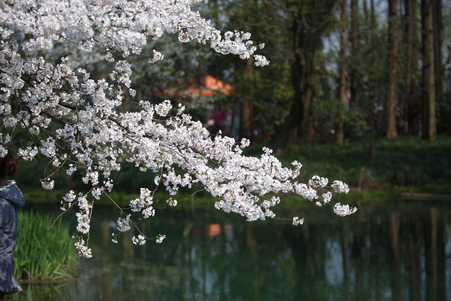 125A7196_调整大小.jpg