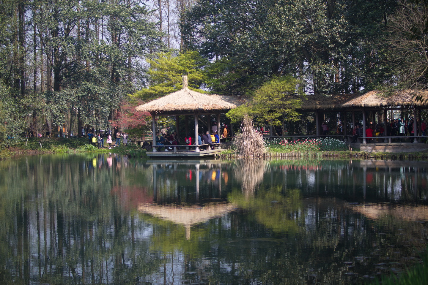 125A7226_调整大小.jpg