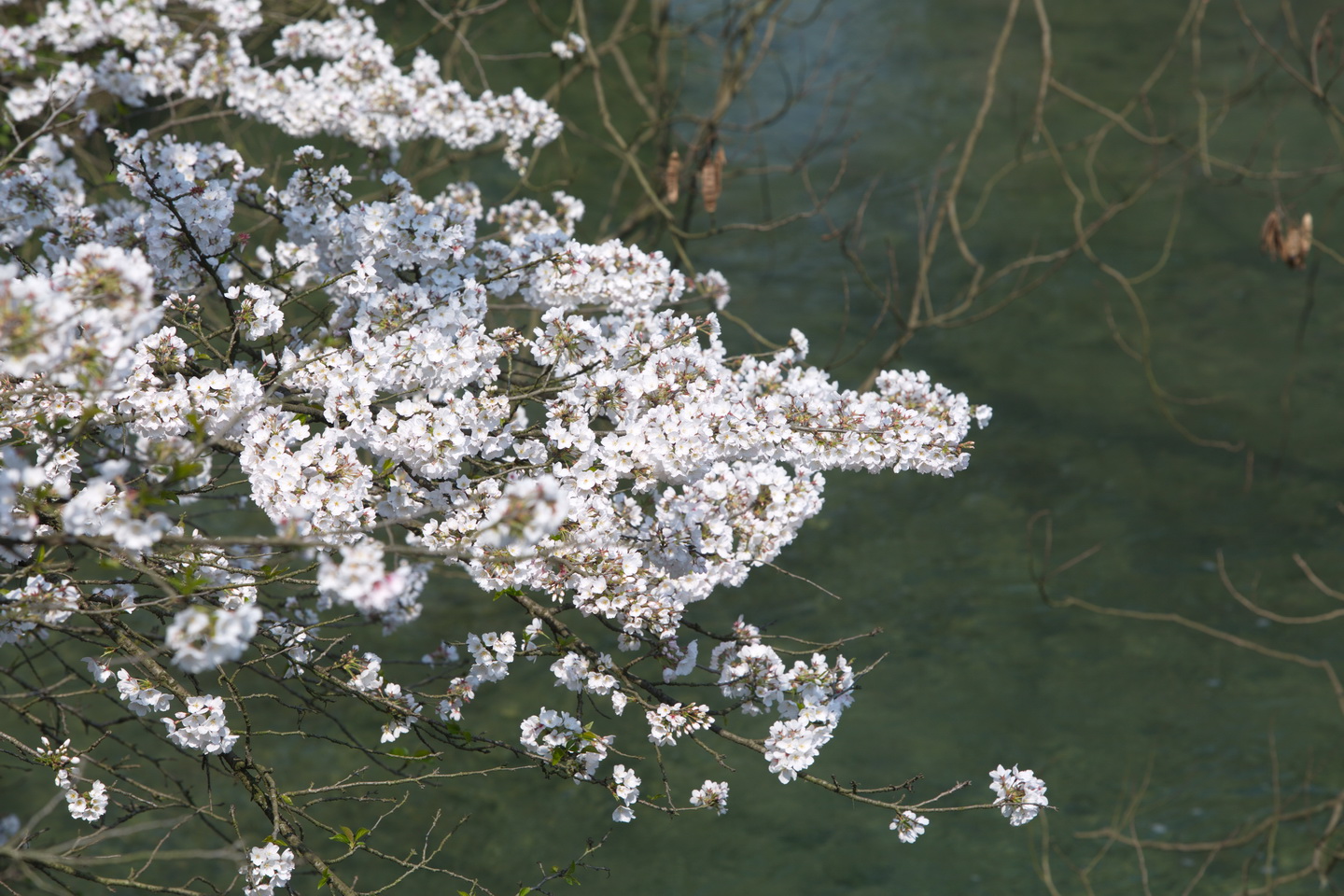 125A7308_调整大小.jpg
