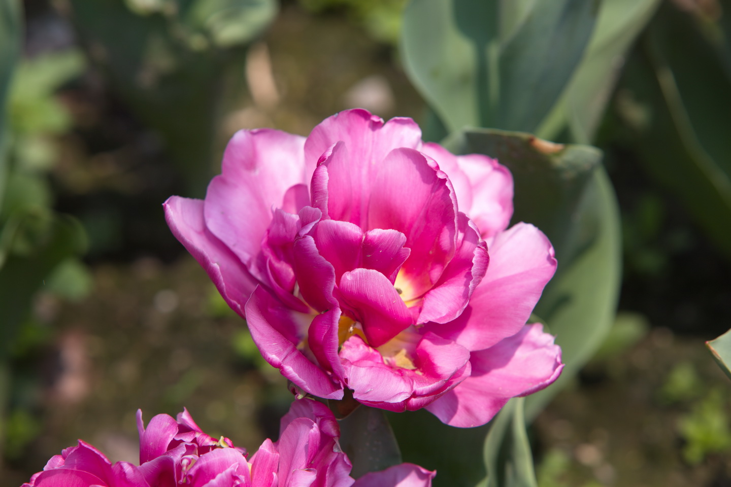 125A7327_调整大小.jpg