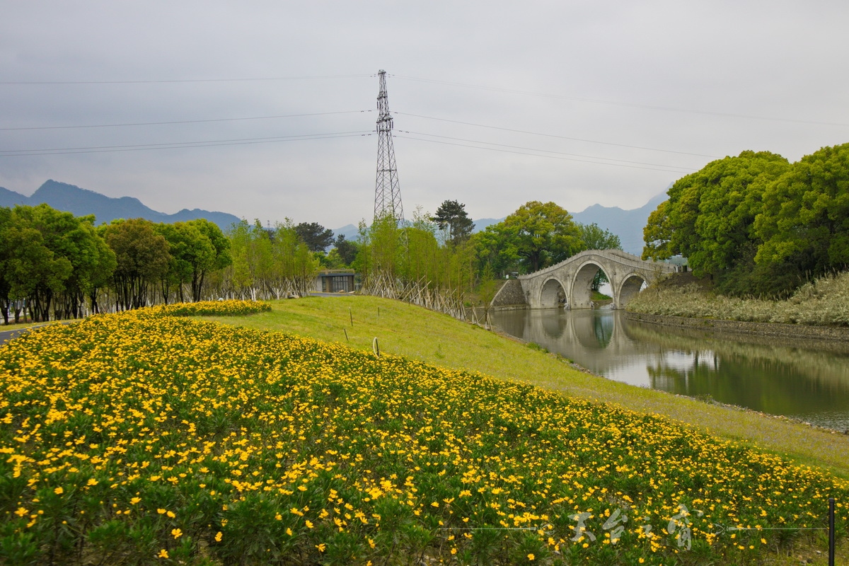 IMG_0286_调整大小.jpg