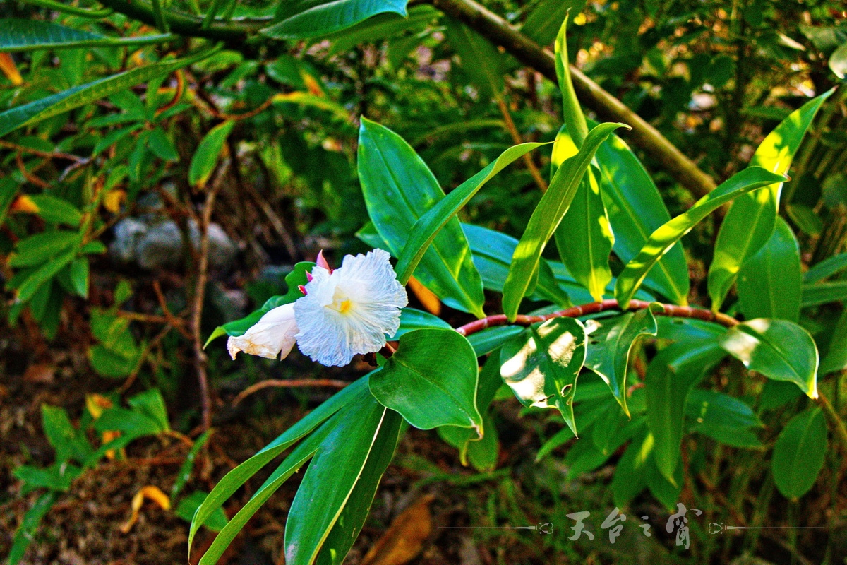 IMG_1170_调整大小.jpg