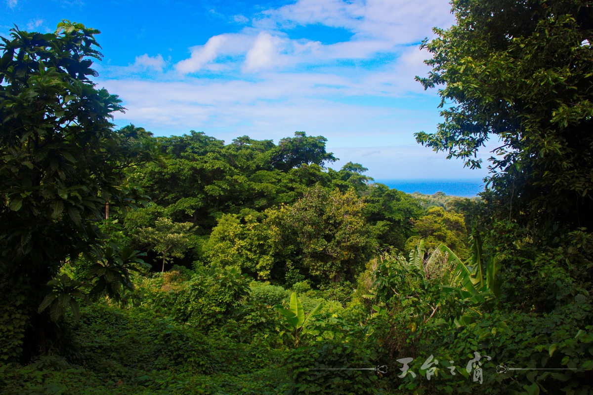 IMG_1302_调整大小.jpg