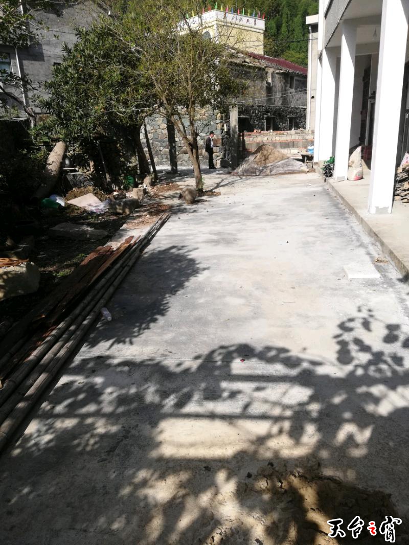 IMG_20191031_092451.jpeg