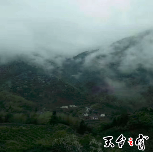 QQ图片20200325234937.png