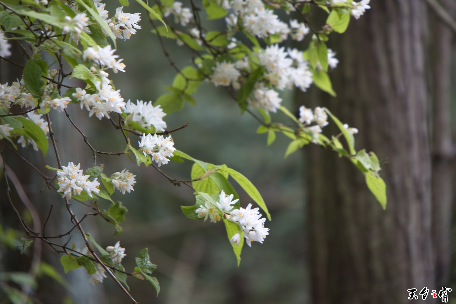 IMG_6680_调整大小.jpg