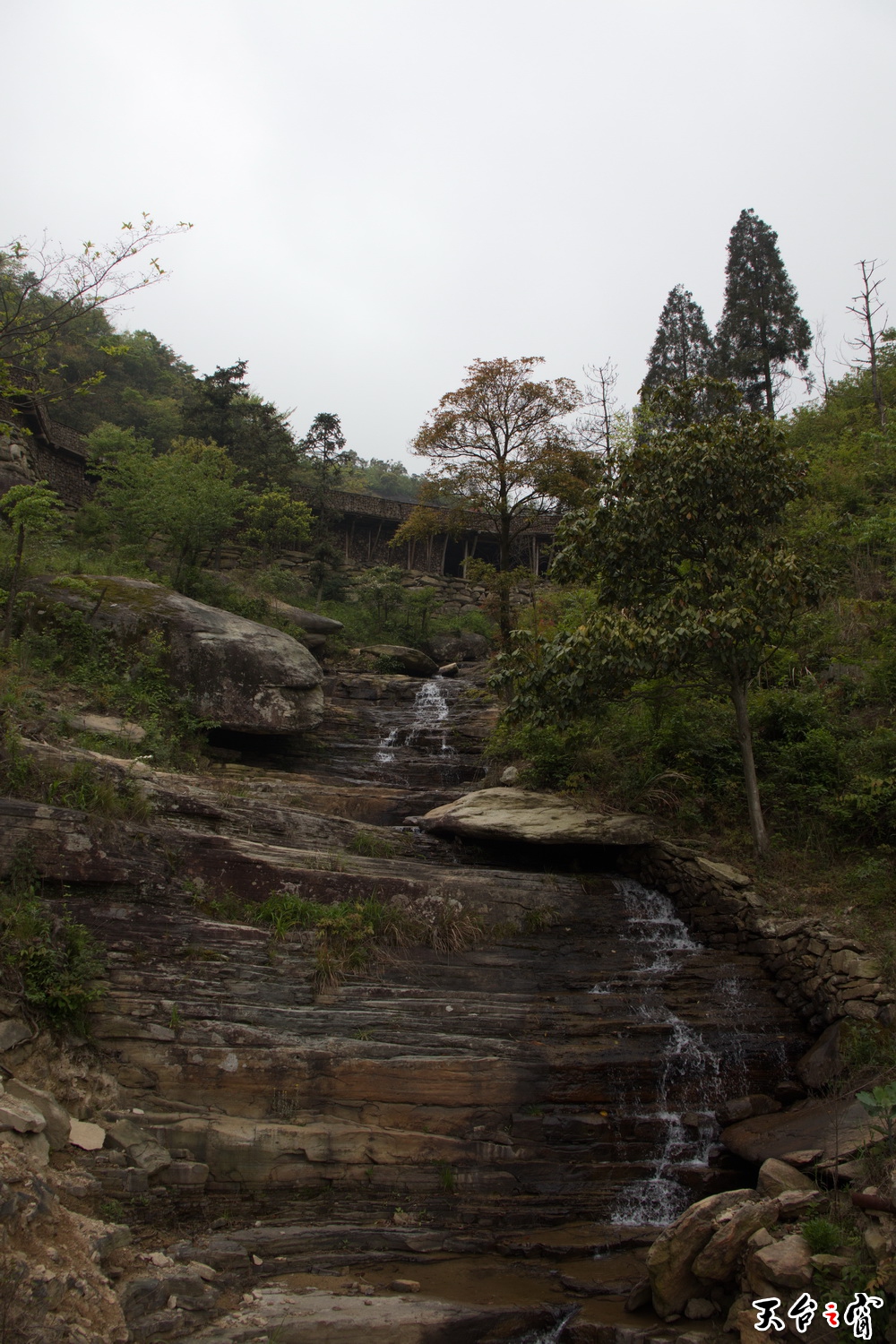 IMG_6685_调整大小.jpg