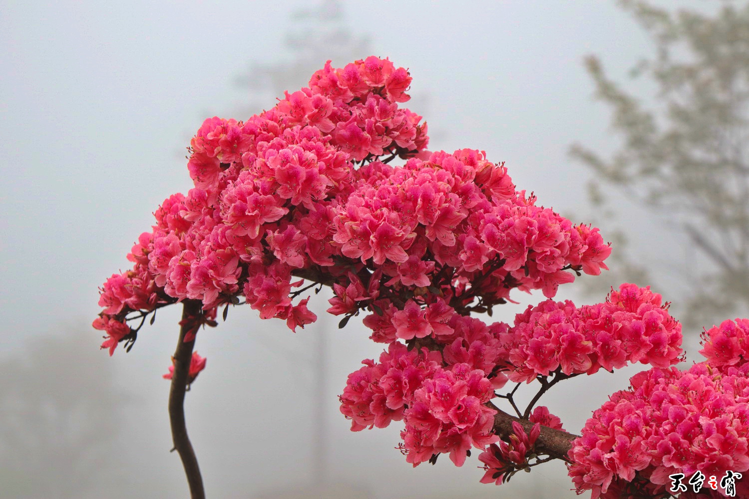 IMG_6733_调整大小.jpg