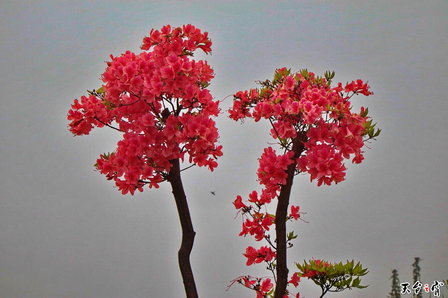 IMG_6744_调整大小.jpg