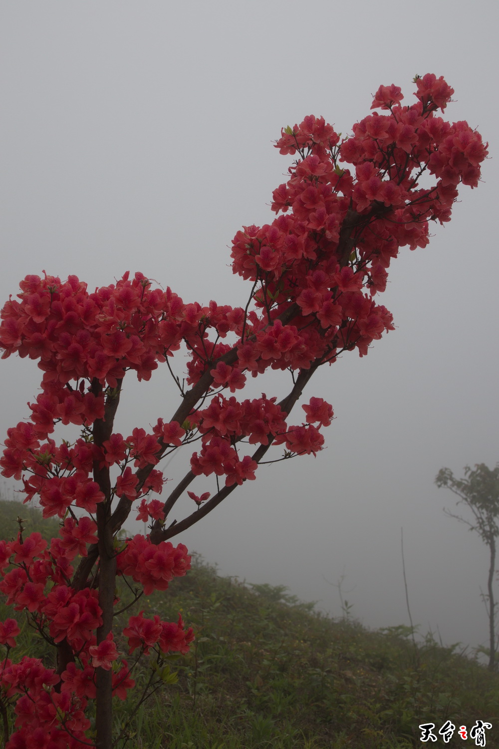 IMG_6754_调整大小.jpg