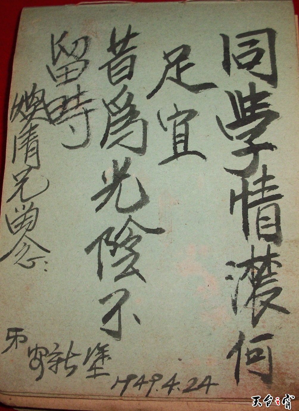 101_7751梅 .JPG
