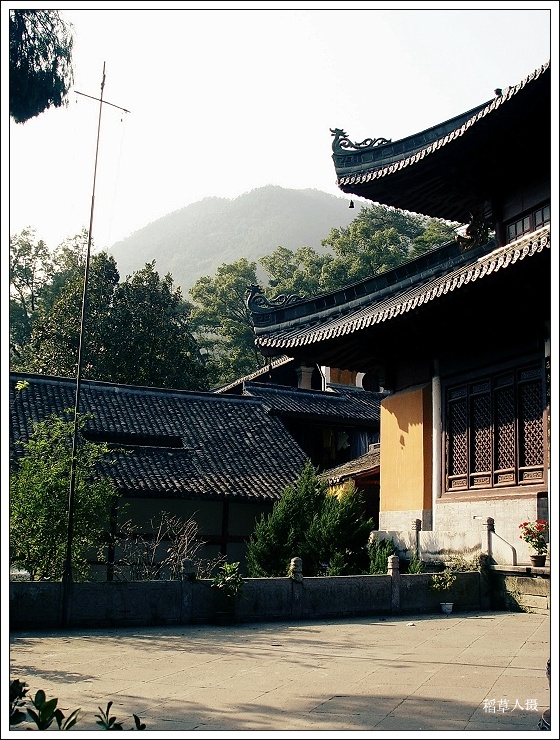 再游国清