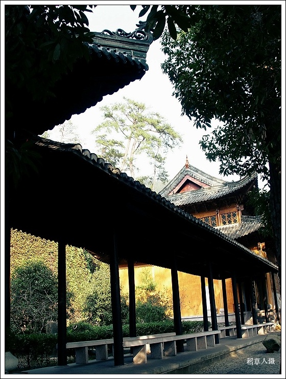 再游国清