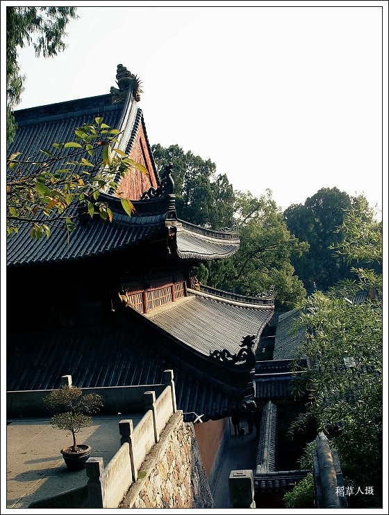 再游国清