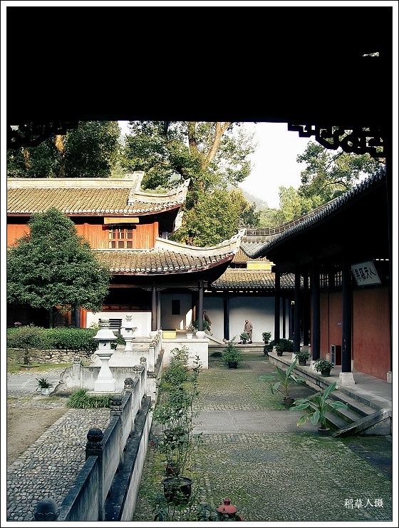 再游国清