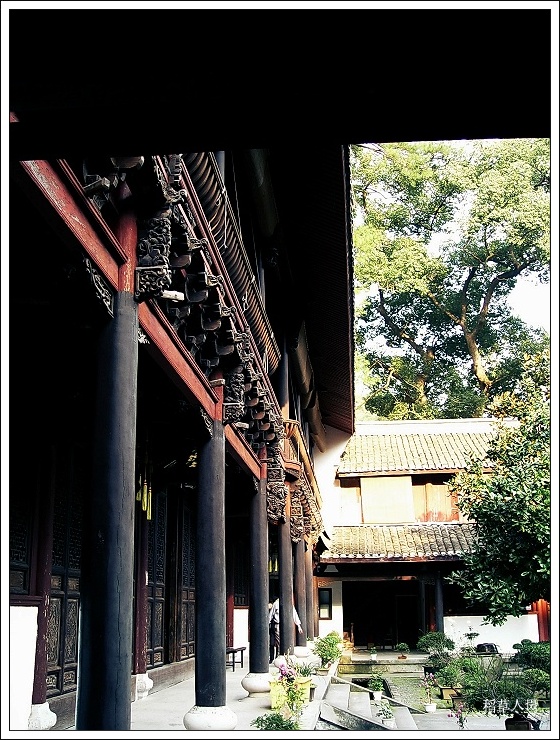 再游国清