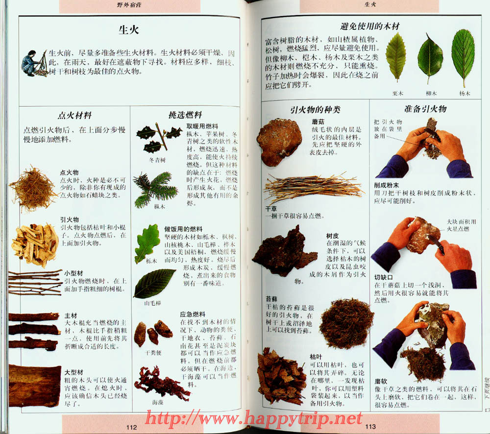 分享
