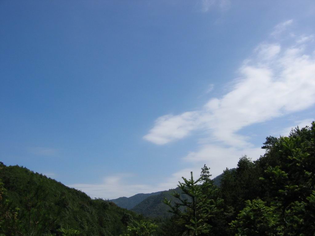 百山祖---黄茅尖凳顶穿越之PP