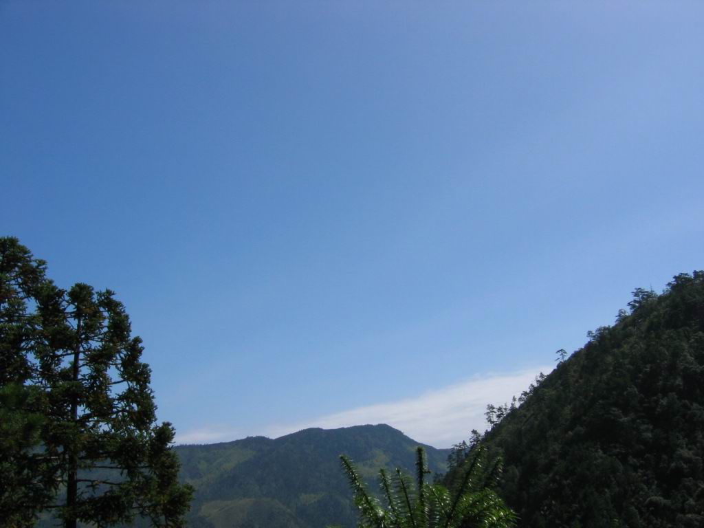 百山祖---黄茅尖凳顶穿越之PP
