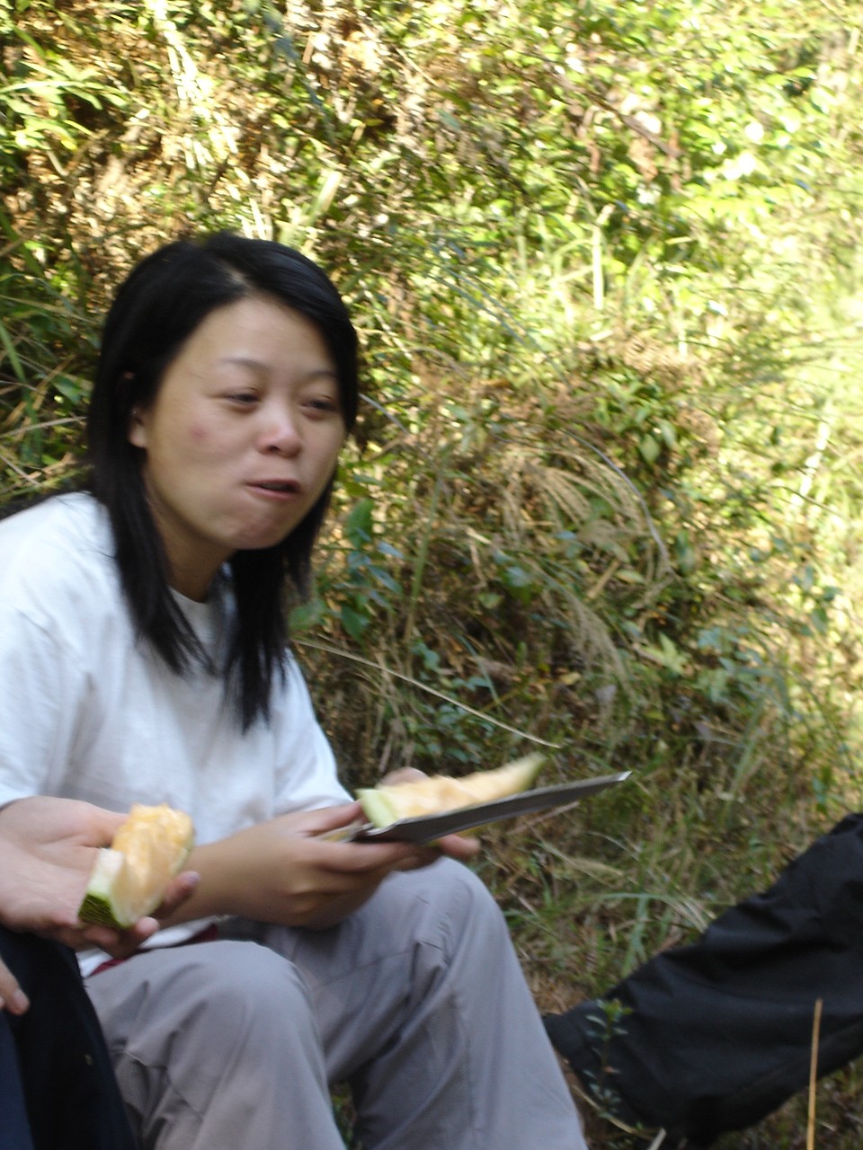 百山祖-黄茅尖穿越照片