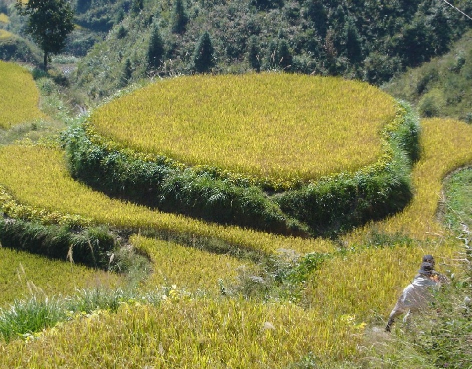 百山祖-黄茅尖穿越照片
