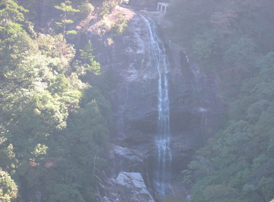 百山祖---黄茅尖登顶穿越之PP