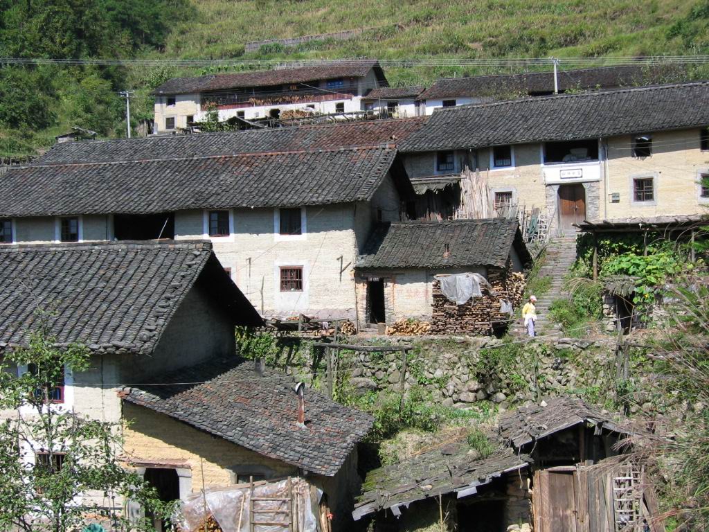 百山祖---黄茅尖登顶穿越之PP