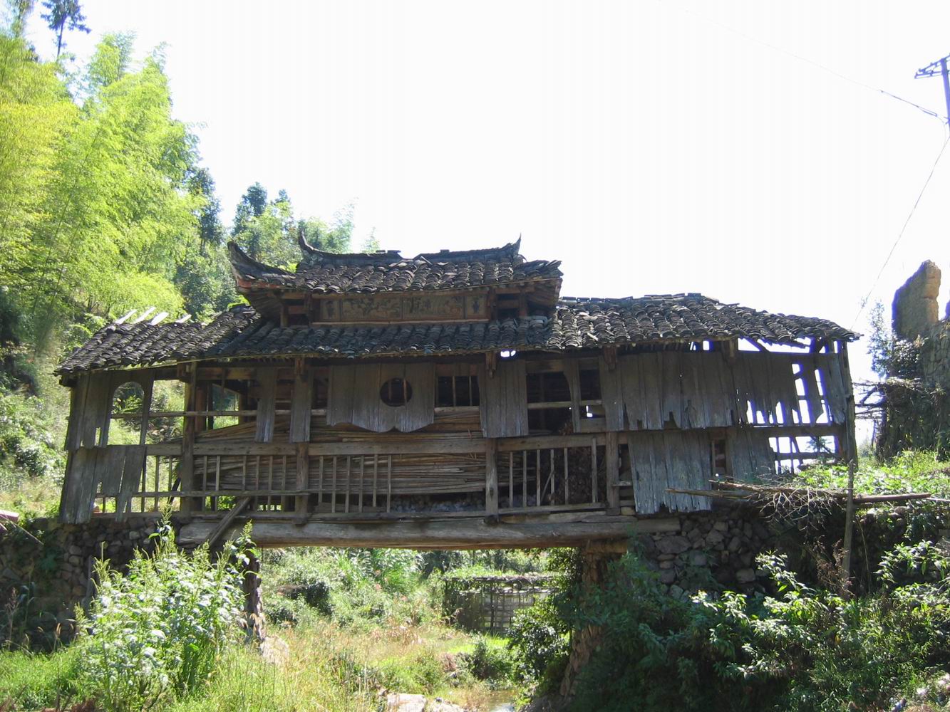 百山祖---黄茅尖登顶穿越之PP