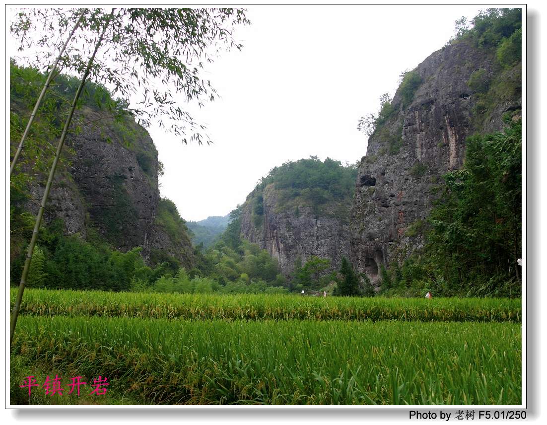 平镇上曹开岩