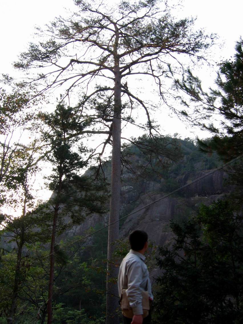 11.7南山-翠屏-幸福水库一日游PP