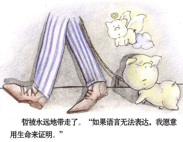 两只猪猪的感人爱情