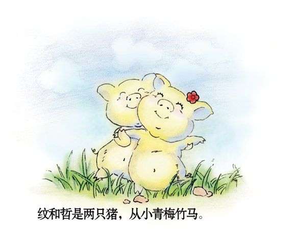 两只猪猪的感人爱情
