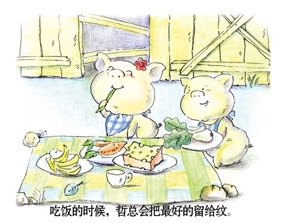 两只猪猪的感人爱情