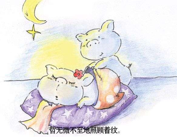 两只猪猪的感人爱情