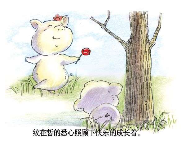 两只猪猪的感人爱情