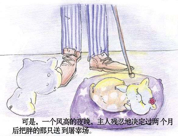两只猪猪的感人爱情