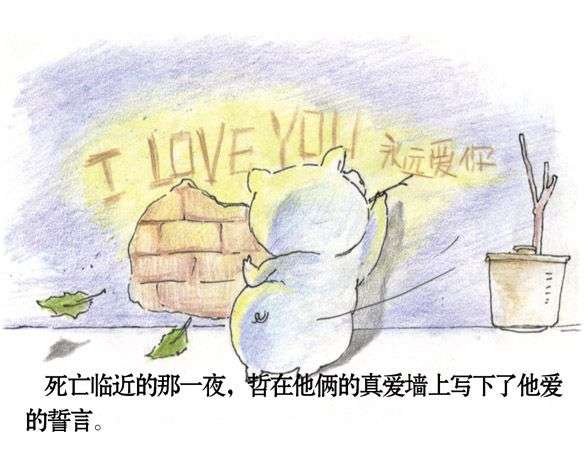 两只猪猪的感人爱情