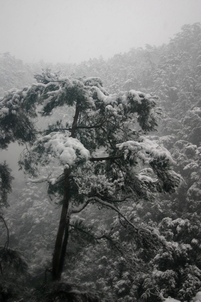 29日天北线冰雪世界